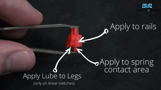 Diagram of the stem